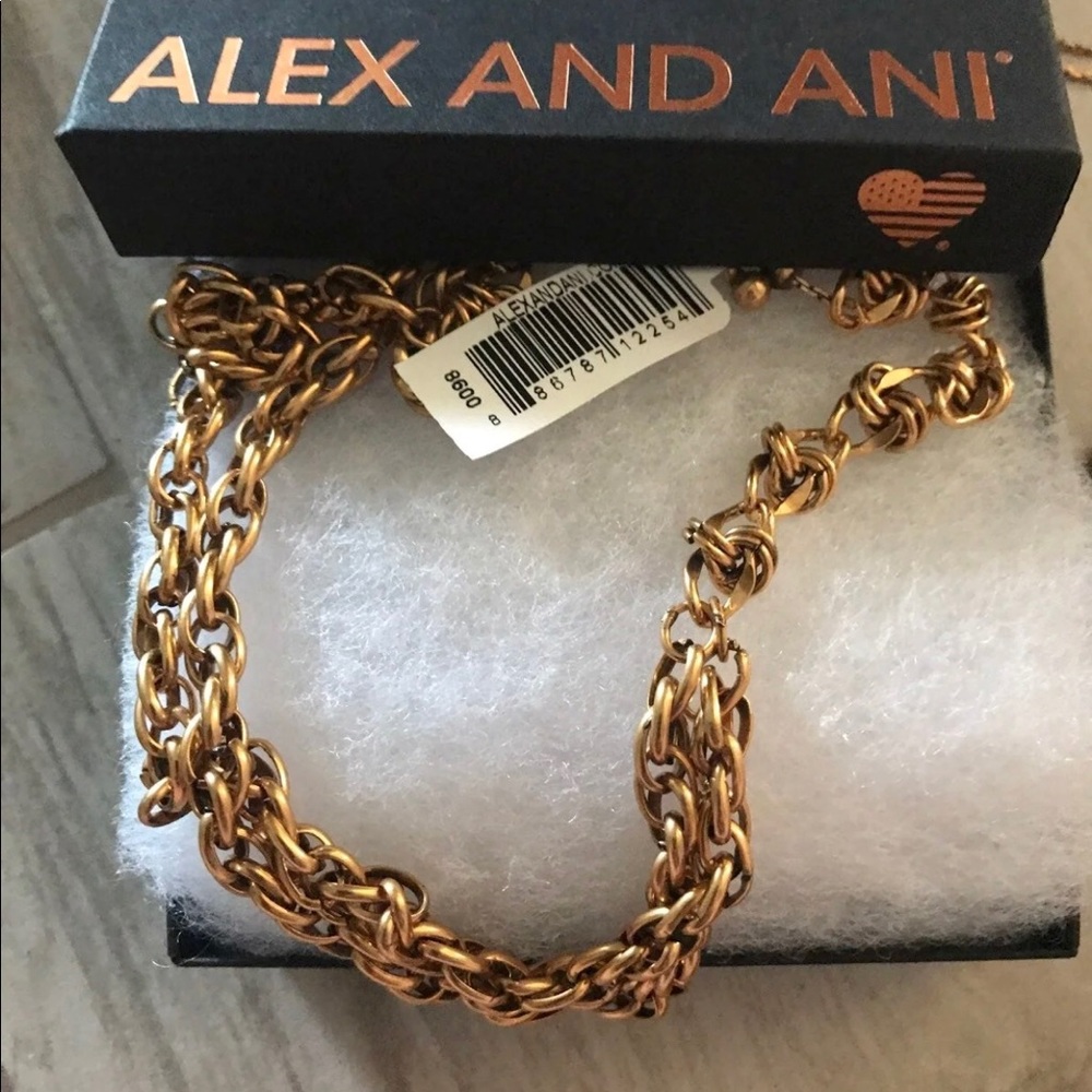 Alex & Ani Necklace NWT